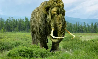 Arheologii au dezvăluit povestea unui mamut prins în nisipuri mișcătoare