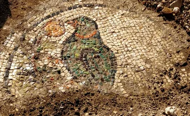 Mozaicuri spectaculoase, cu flori și păsări, descoperite la o vilă romană din apropiere de Verona