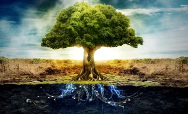 PRIMUL ”arbore al vieţii” digital, ce include 2,3 milioane de specii, creat de o universitate din SUA