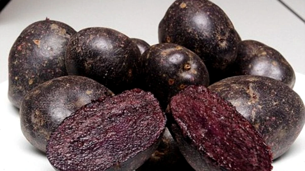 A trecut flacara violet… Au aparut cartofii violeti!