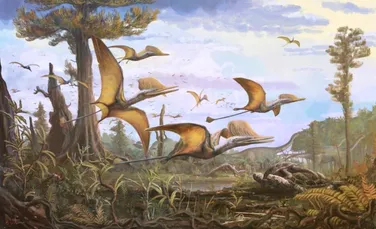 O nouă specie de pterozaur din Jurasic, descoperită pe Insula Skye din Scoția