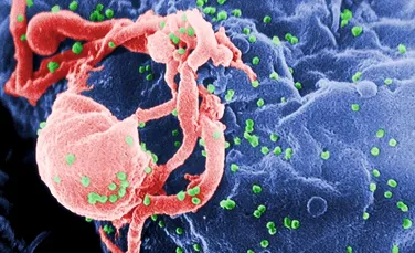 A fost creat anticorpul care poate ataca 99% dintre tulpinile virusului HIV
