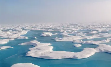 Oamenii de ştiinţă au făcut o descoperire uimitoare în Arctica