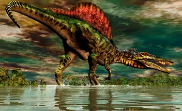 O serie de noi fosile indică faptul că spinozaurii erau creaturi acvatice