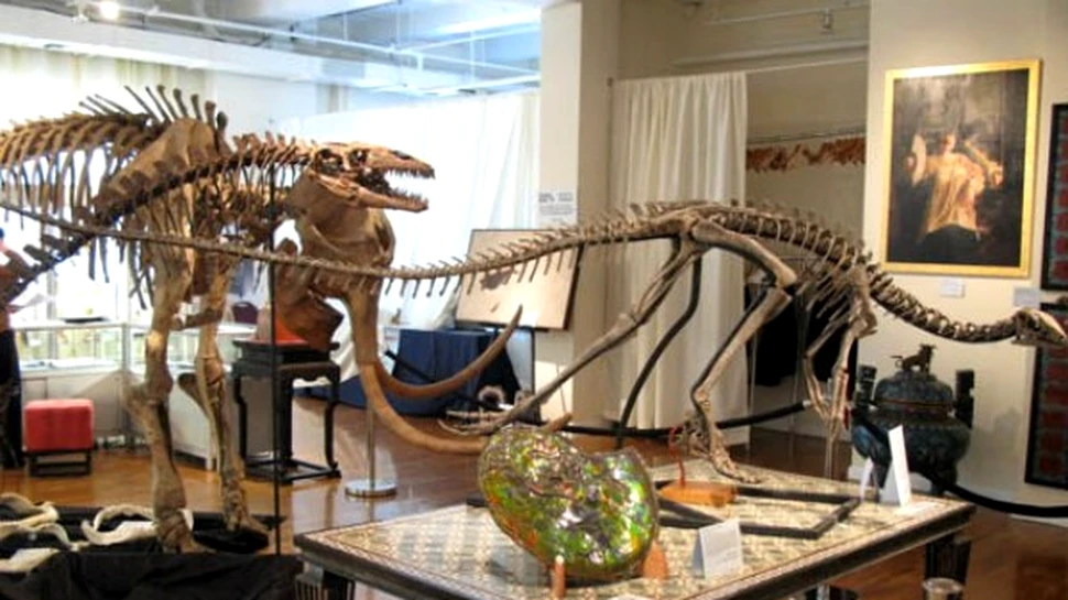 Cine doreste sa cumpere un dinozaur?