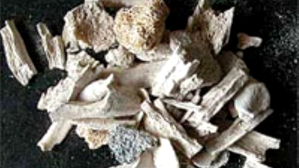 Un nou Stonehenge descoperit in Ucraina