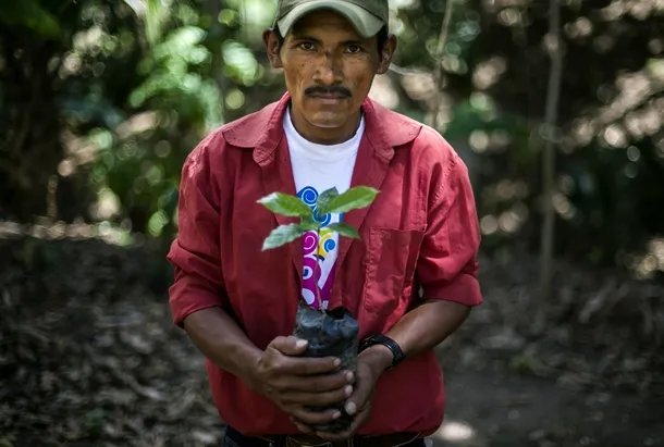 Isacio Lopez, 40 de ani, un cultivator de cafea din Nicaragua arată o plantă afectată de „rugina cafelei”. Recolta din sezonul 2013-2014 a fost cu 28% mai mică decât anul trecut din cauza acestei boli, făcând şomeri 90.000 din cei 300.000 de oameni ce lucrează în acest sector