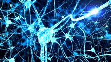 Un nou spray nazal pentru Alzheimer elimină toxinele din neuroni