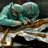 Ötzi, omul din gheață: ce au descoperit cercetătorii în corpul unei mumii vechi de 5.300 de ani