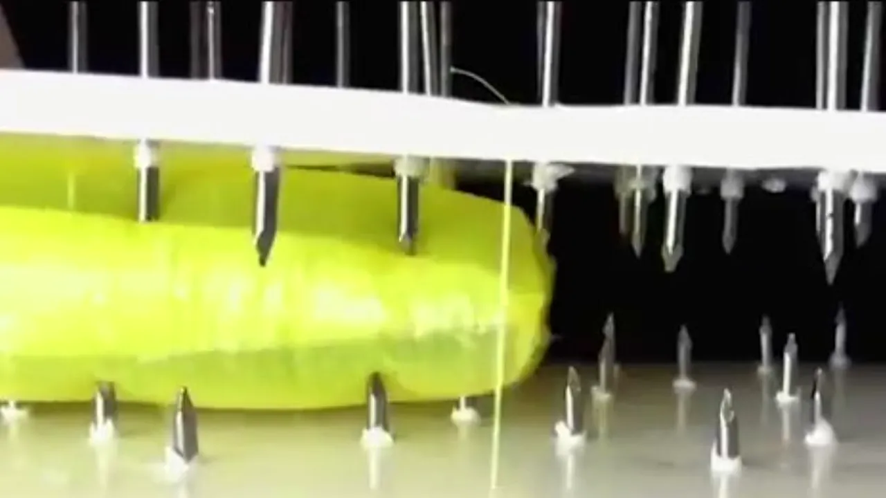 1-snapshotwormrobot 