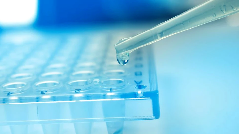 Tehnologia CRISPR poate fi folosită pentru a elimina virusurile din celulele umane
