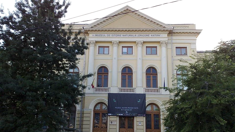 Academie: Soluţia de a aloca Muzeului Holocaustului o parte din parcul Antipa, păguboasă