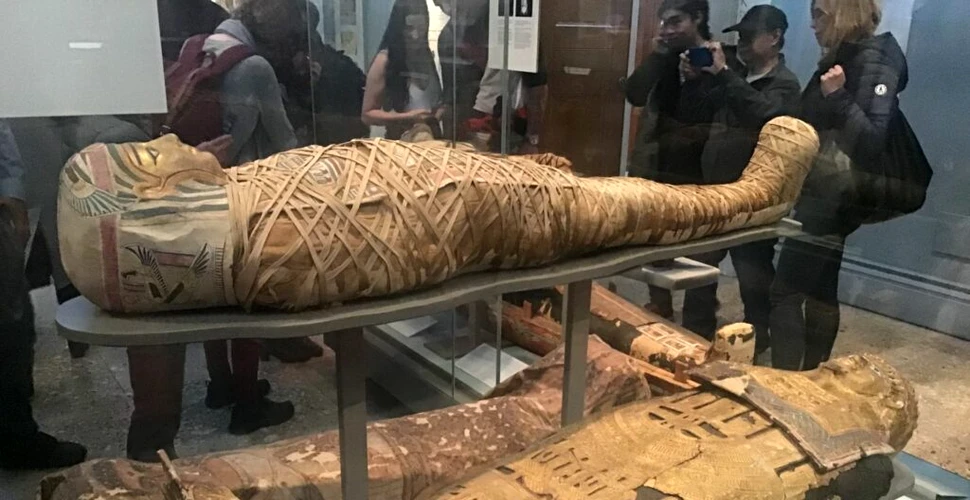 Climatul mediteranean antic ar putea fi reconstruit cu ajutorul mumiilor
