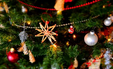 Un tir cu decorațiuni de Crăciun s-a răsturnat în Vrancea