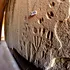 Aceste sculpturi preistorice sunt atât de precise încât pot fi identificate vârsta și specia animalelor reprezentate