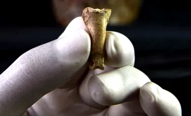 Una dintre ultimele bijuterii făcute de către neanderthalieni a fost descoperită în Spania