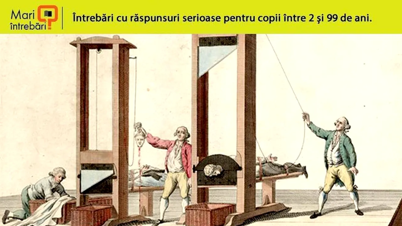 1-guillotine 