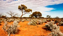 O tânără din Germania, găsită în viață după 12 zile de dispariție în Australia