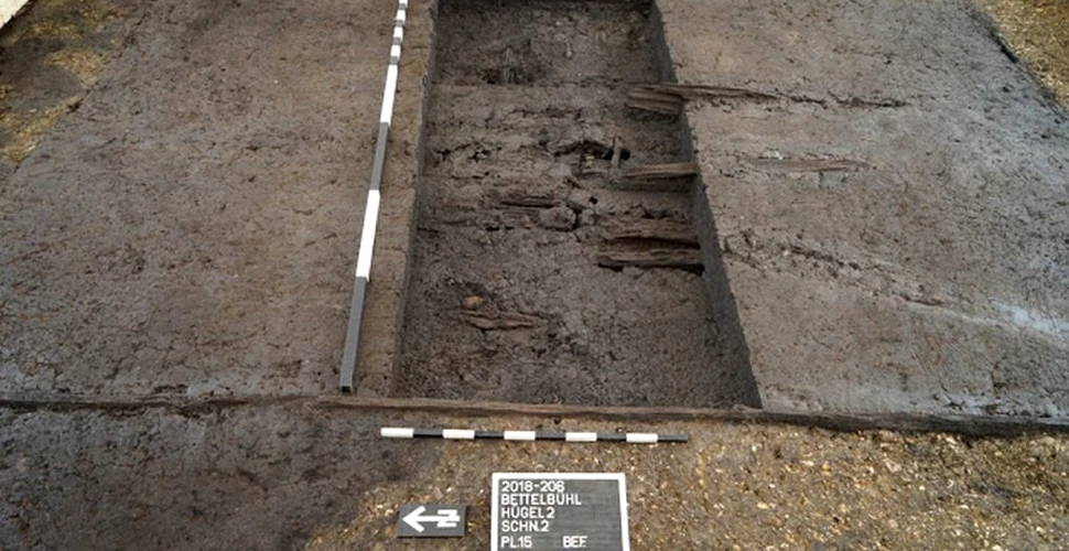 Descoperirea unui mormânt celtic în Câmpia Dunării a scos la iveală o comoară