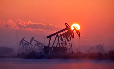 Ce este mai rău pentru animalele sălbatice, parcurile eoliene sau forajele petroliere?