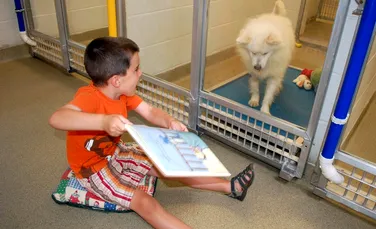Un experiment inedit: Copiii le citesc câinilor pentru a-i calma. FOTO+VIDEO
