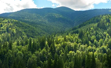 Un studiu arată că oamenii supraestimează înclinarea dealurilor