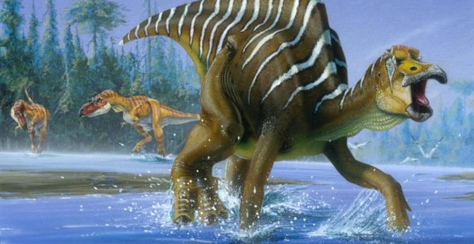 Si totusi dinozaurii nu au disparut acum 65 de milioane de ani