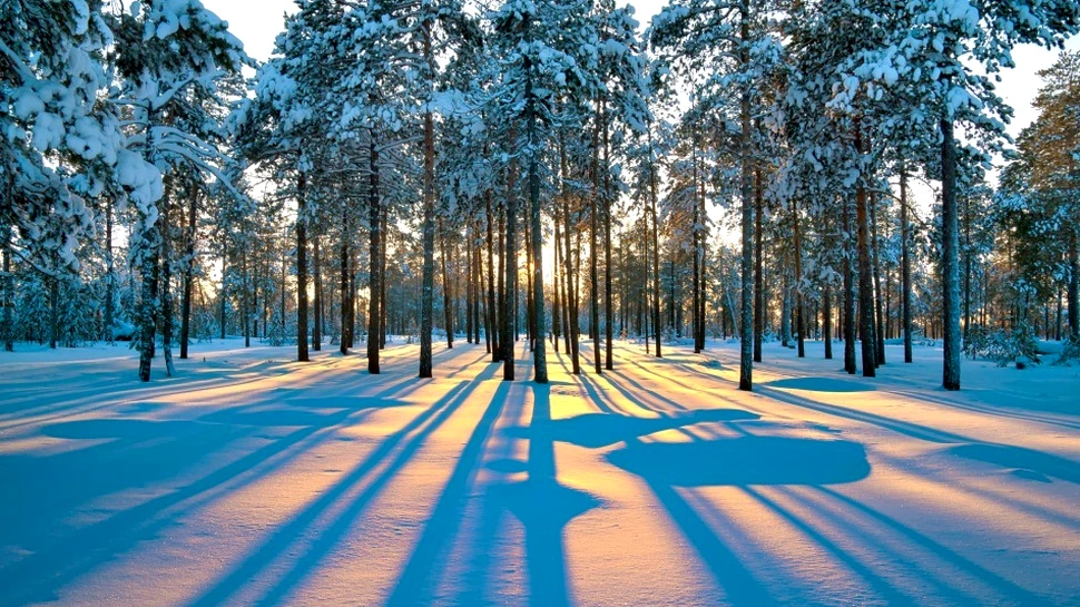 Izolaţi 40 de ani în Siberia – povestea familiei ocolite de cel de-al Doilea Război Mondial