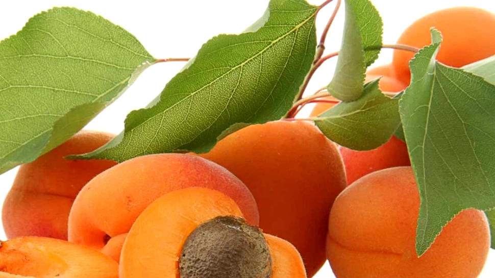 Fructele care sunt considerate o fântână a tinereţii şi sănătăţii