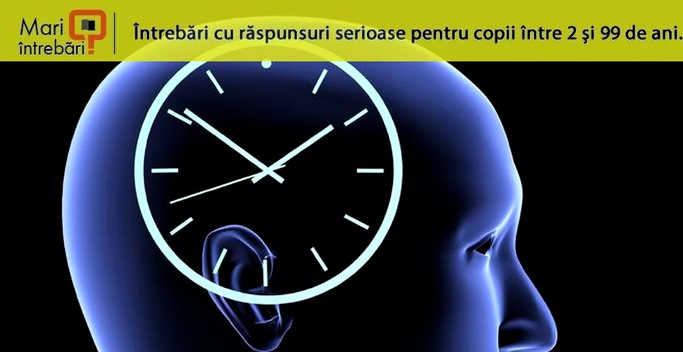Cum reuşeşte creierul să perceapă timpul?
