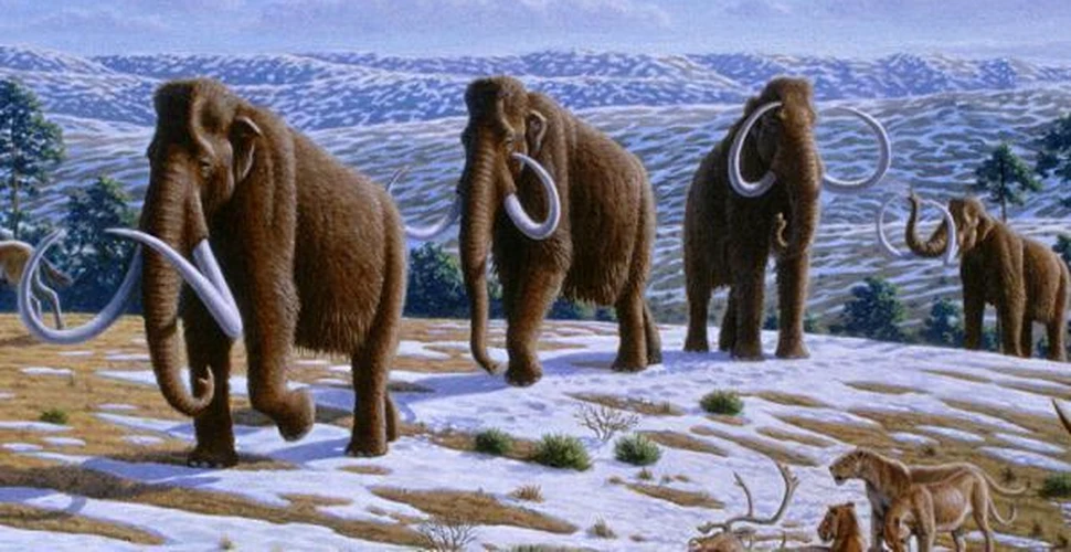 Ce-are a face incalzirea climei cu vanatoarea de mamuti?