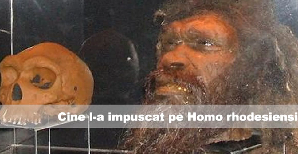 Cine l-a impuscat pe Homo rhodesiensis?