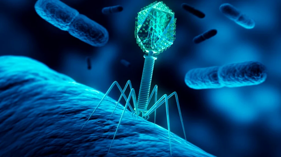 Virusurile își ascultă reciproc conversațiile și uneori primesc informații false