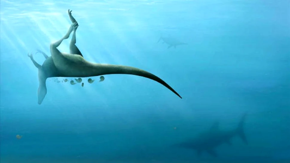 O nouă specie de dinozaur, înrudită cu T. Rex, descoperită datorită vânătorilor de fosile