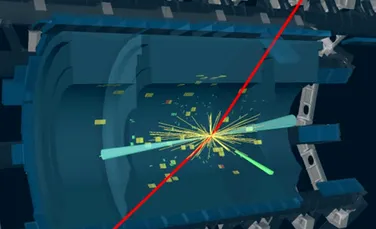 Primele dovezi ale unei descompuneri rare a bosonului Higgs, descoperite de fizicienii de la CERN