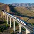 Ce amendă a primit o femeie a cărei pisici mieuna prea tare în tren?