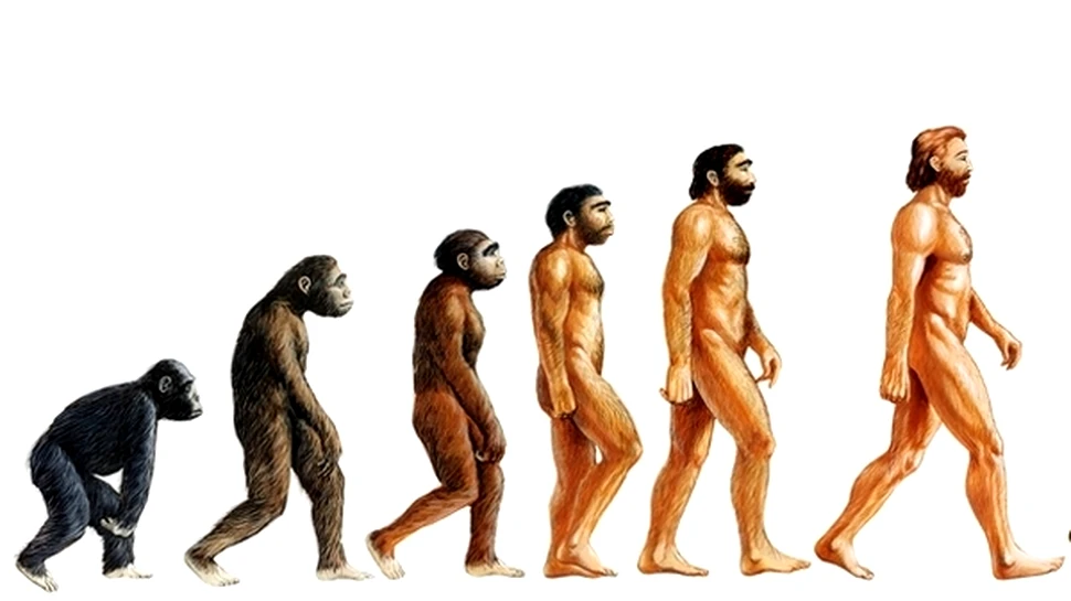 Mersul biped a apărut cu două milioane de ani mai devreme decât se credea