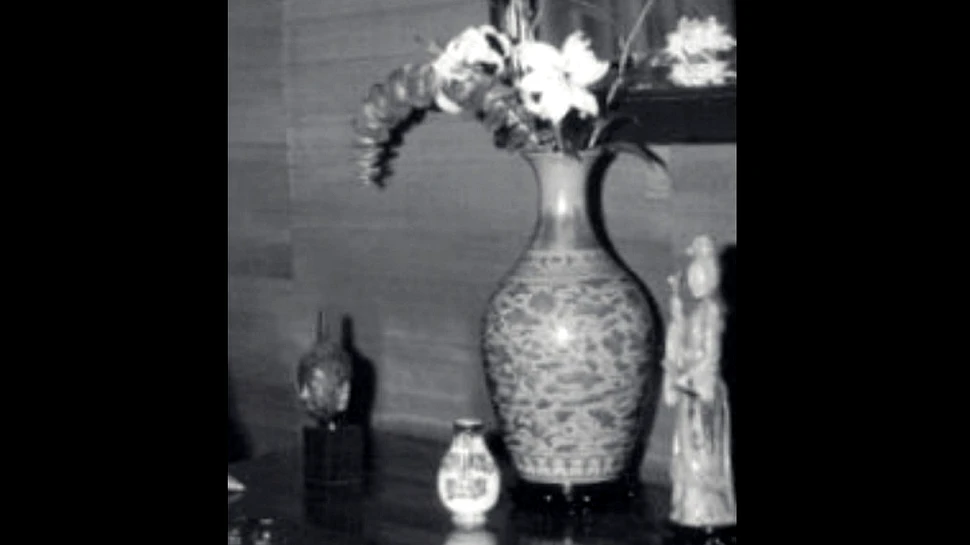 O vază chinezească în care proprietarii ţineau flori a fost vândută cu 3 milioane de lire sterline