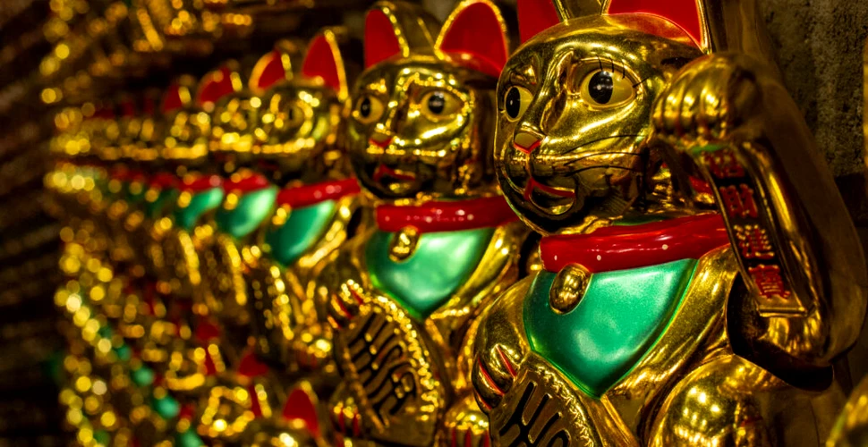 500 de pisici maneki-neko, furate din cel mai nou restaurant al lui Gordon Ramsay