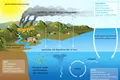 Cenușa de la incendiile de vegetație ajută speciile marine