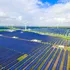 De ce au testat oamenii de știință panouri solare colorate? Nu este vorba doar despre aspect!