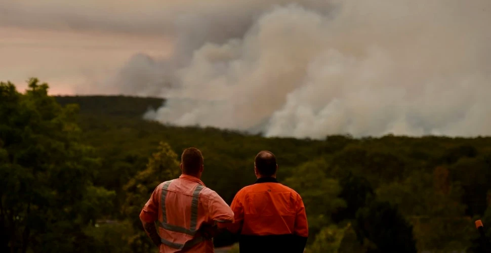 Incendiile de vegetație din Australia au avut un efect șocant asupra atmosferei Pământului