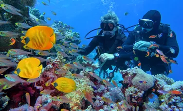 Avertisment: Intervențiile climatice în oceane au nevoie de o guvernanță mai puternică