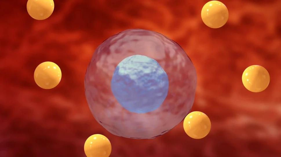 Cum protejează radicalii de oxigen împotriva cancerului