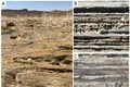 O formă de viață necunoscută a creat structuri în deșertul Namib cu peste un milion de ani în urmă