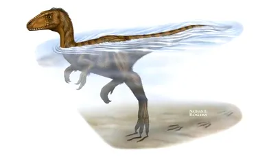 Dinozaurii ştiau să înoate? O descoperire recentă dă răspunsul