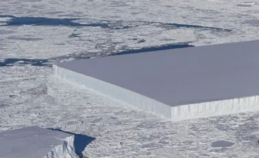 Un aisberg cu o formă ciudată a fost descoperit de o cercetătoare NASA