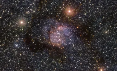 Un „șarpe cosmic” într-o creșă stelară, surprins în noi imagini de la Observatorul European de Sud