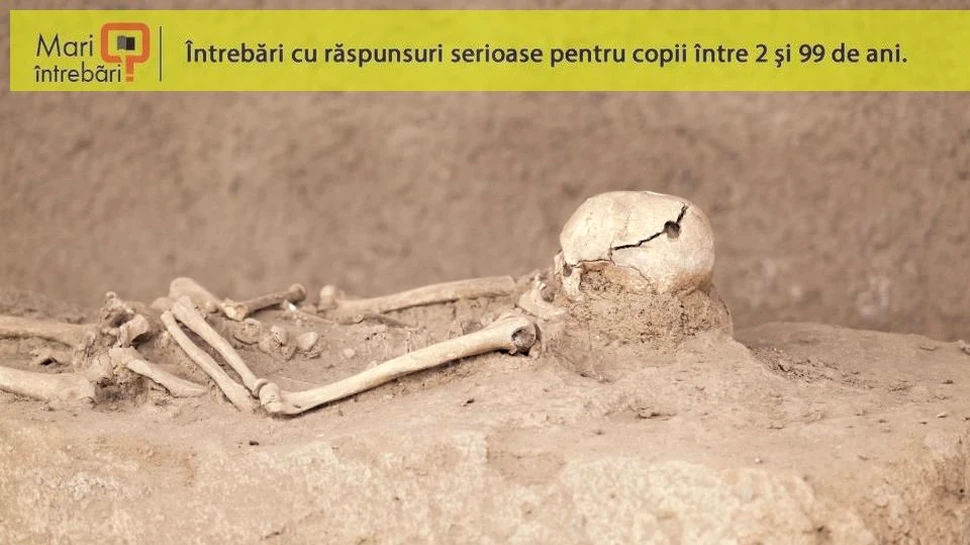 Ce este trepanaţia şi la ce foloseşte?