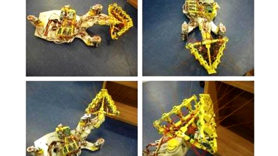 Sobolanul-robot va desfasura actiuni de salvare
